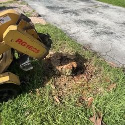 🌳 Stump Grinding Service 2023 🪵