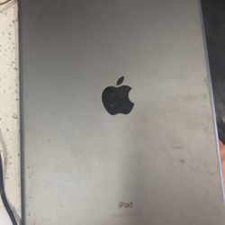 Apple iPad