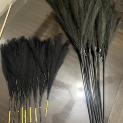 Black Pampas Floral Stems