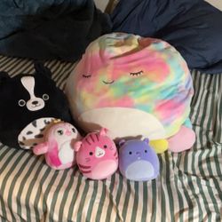 Five Mint Condition Squishmallows