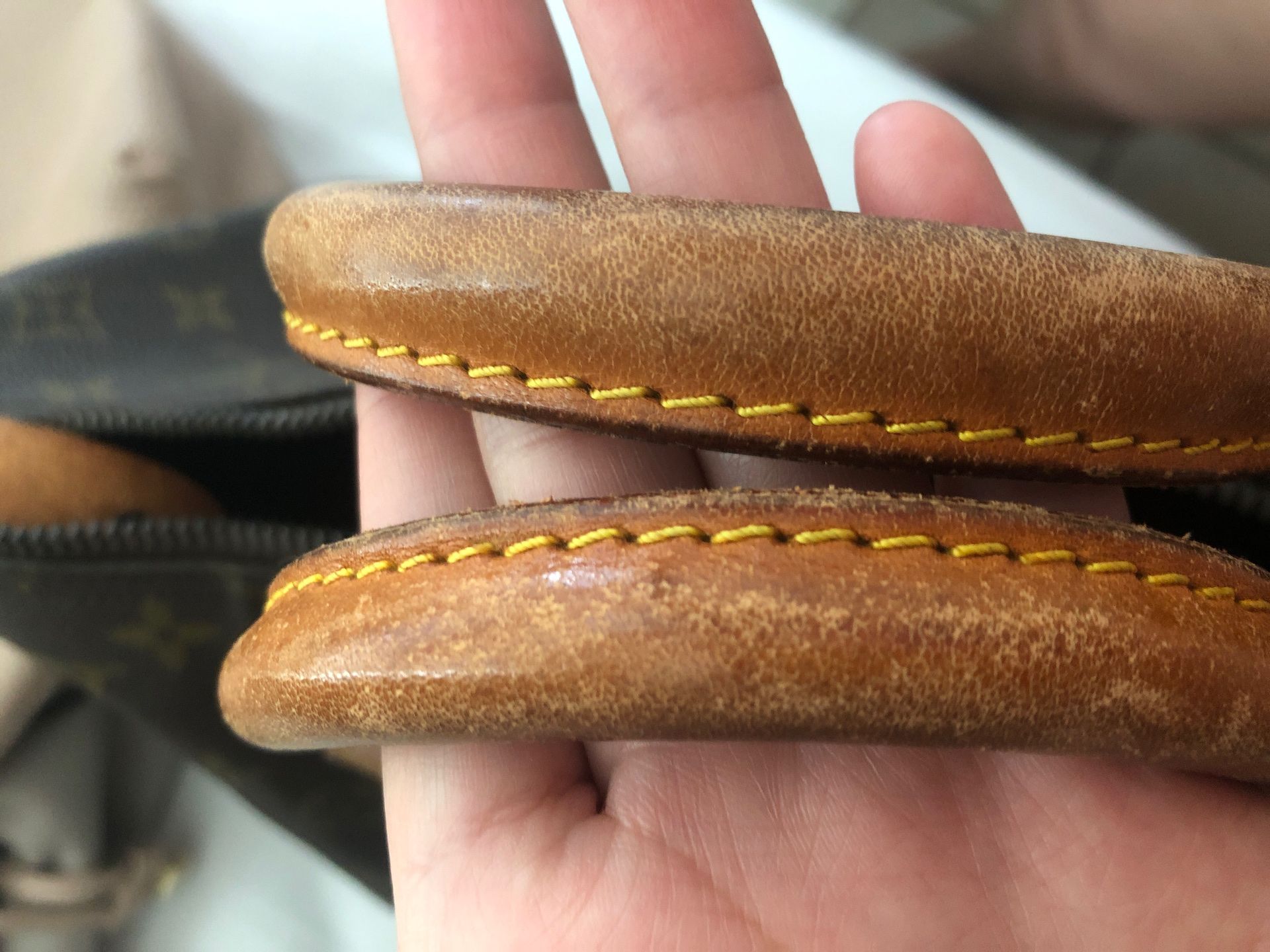 Louis Vuitton Speedy 35