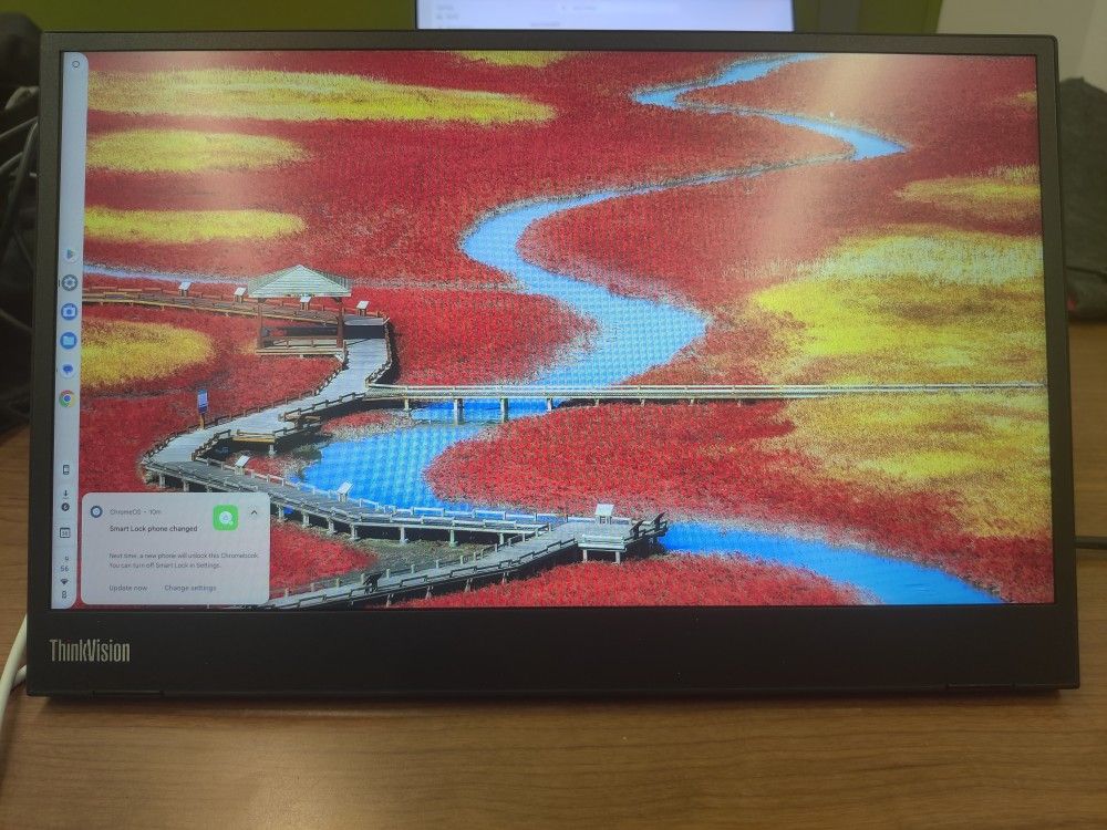 Lenovo Thinkvision 14 Inch Portable Monitor