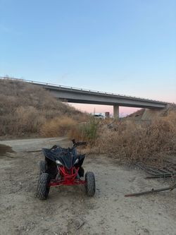 125cc vitacci pentora