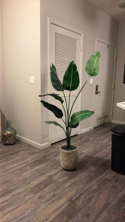 Artificial Plant