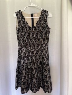 Black Lace Overlay Sleeveless Fit and Flare Dress