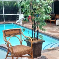Beautiful 😍 
Tommy Bahama rhottan style 
$75 Chair 
$45 end table 
$125 Bamboo artificial potted  plant  fake potted plant plastic