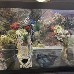 Fish Tank ,Accessories  & Stand