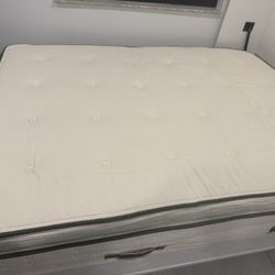Mattress Avocado Green