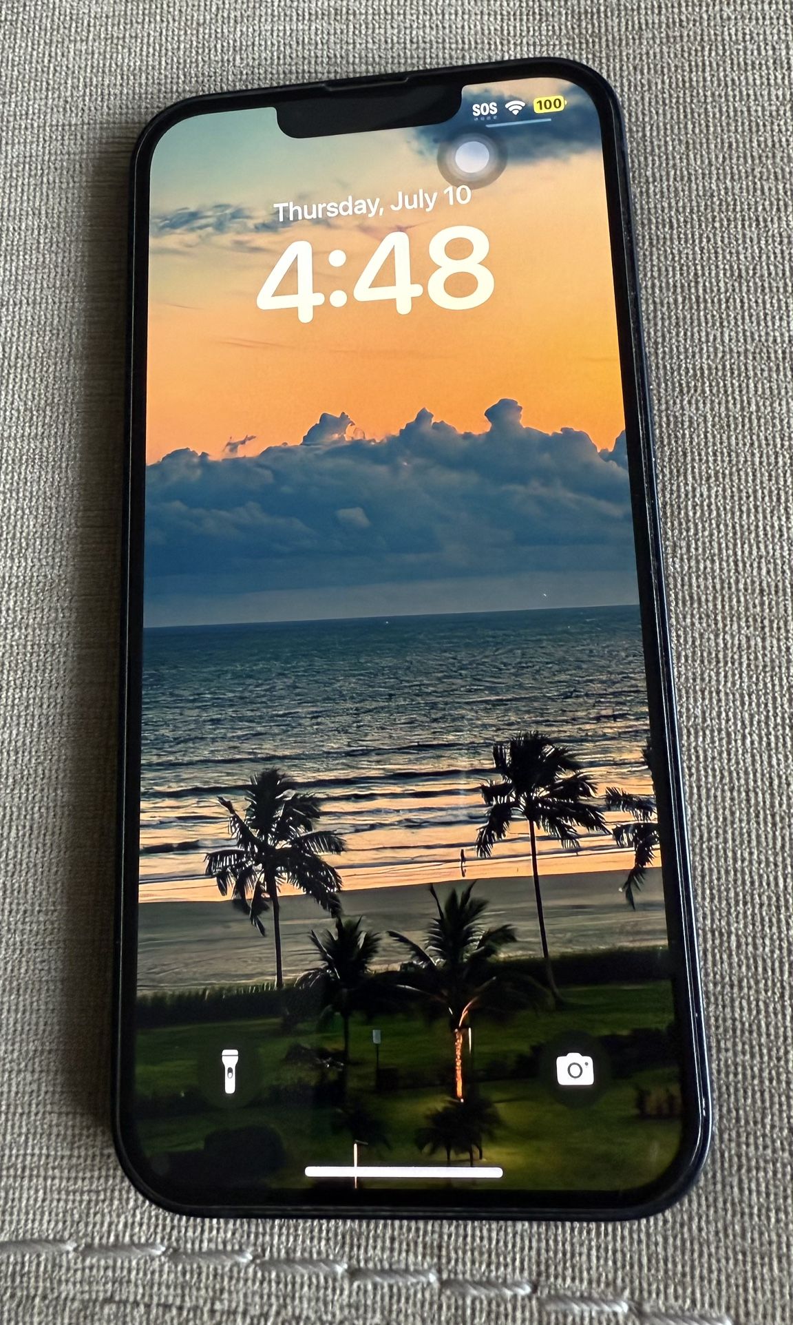 IPhone 13 Unlocked Device (128 GB)
