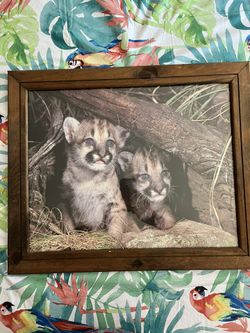 Glass Framed Picture 