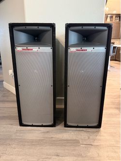 A pair of TP2400 2-Way 200W RMS Full Range Cabinet Speakers