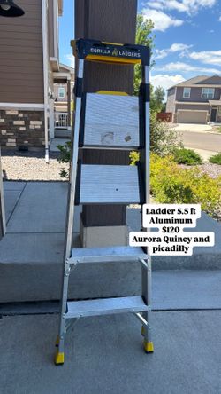 Ladder 5.5ft gorilla