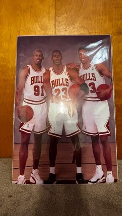 Bulls trip poster