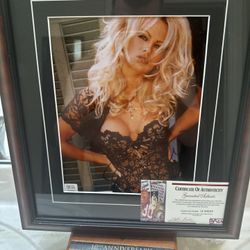 1995 PSA/DNA Certified Framed Pamela Anderson In Black Teddy 11.5 X 9 🤑⭐️🏆