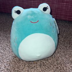 Novi Squishmallow Frog New With Tags 12”