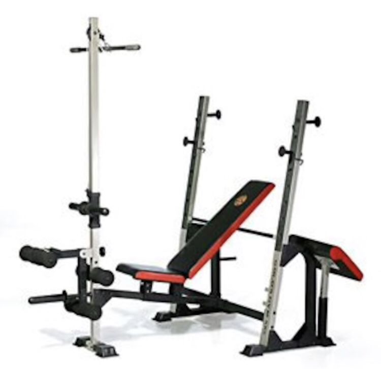 XR5 Olympic Weight Bench Gold Gym