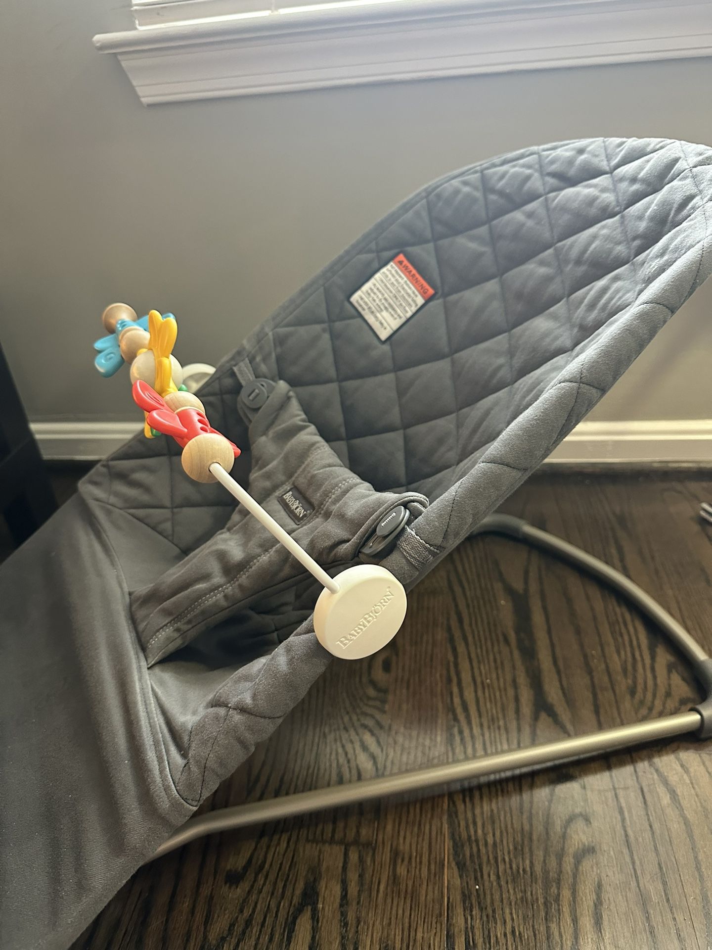 Baby Bjorn Bouncer