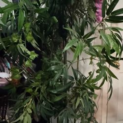 fake plant