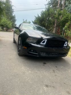 2013 Ford Mustang