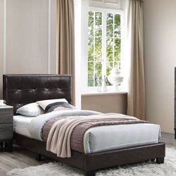 Twin Bed & Mattress 