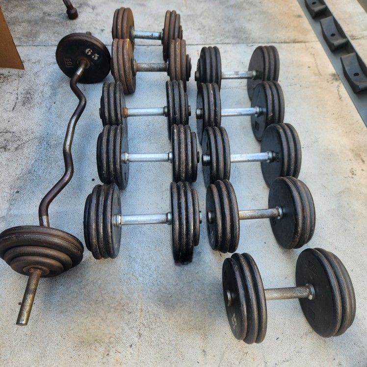 Pro Style Dumbbells And Curl Bar , 690 Lbs Total Weight. Gym Equipment.