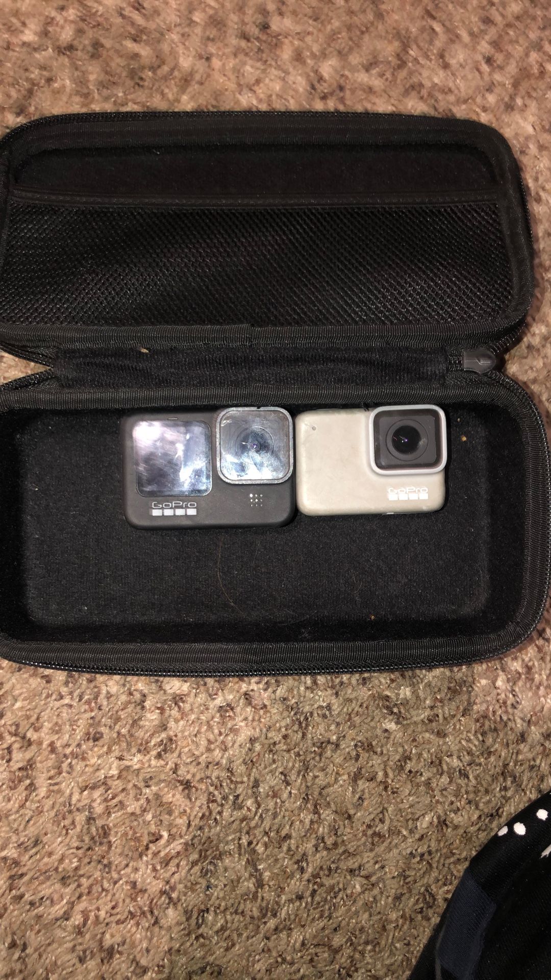 2 GoPros