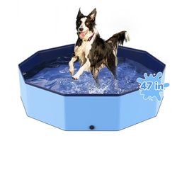 Dog Pool