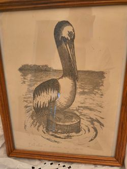 Pelican by D.Denton