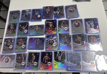 WWE Topps Universe Cards