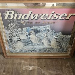 Budwieser Mirrior