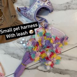 Harness With Leash