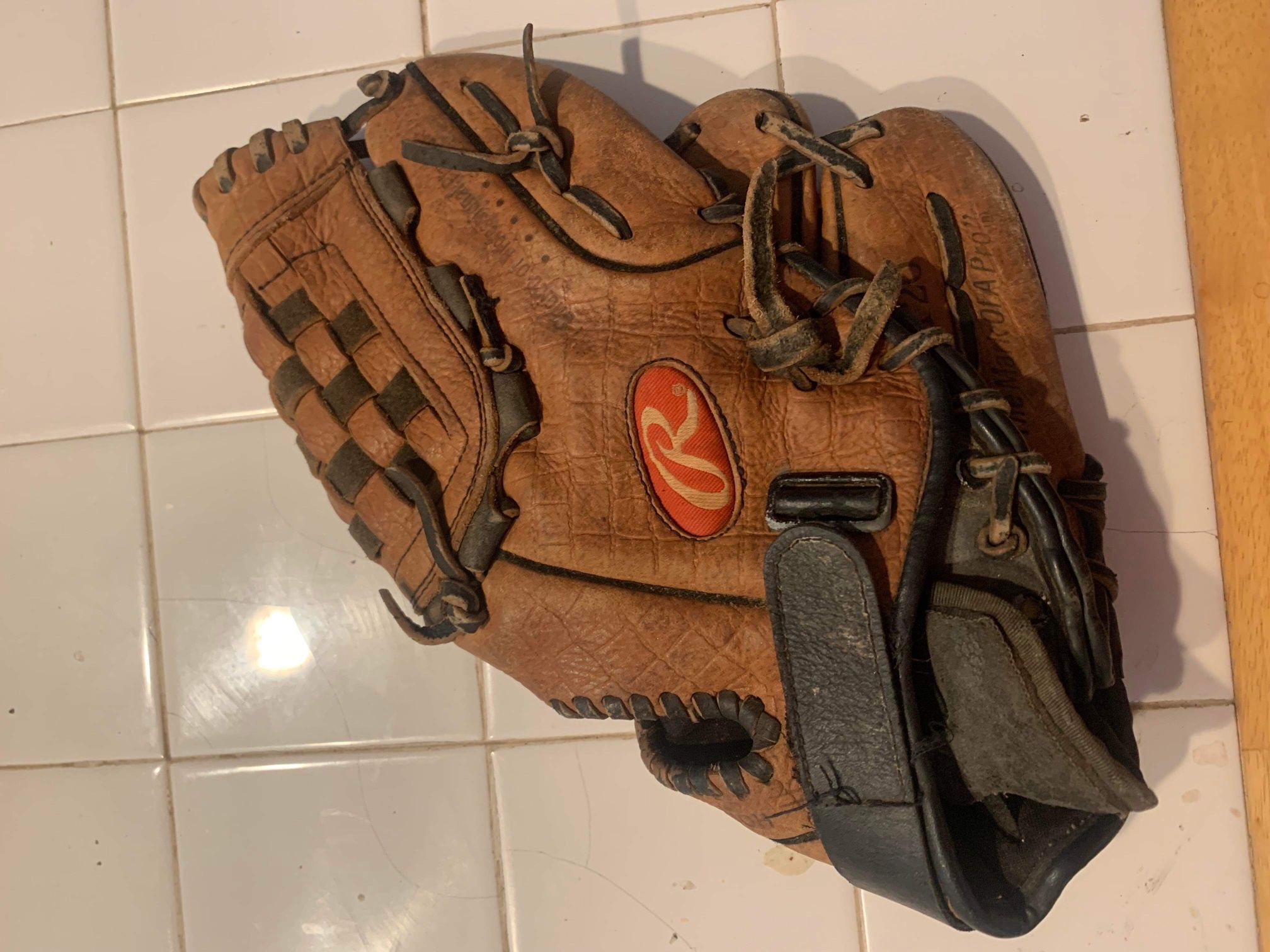 Rawlings RPT20 Baseball Glove