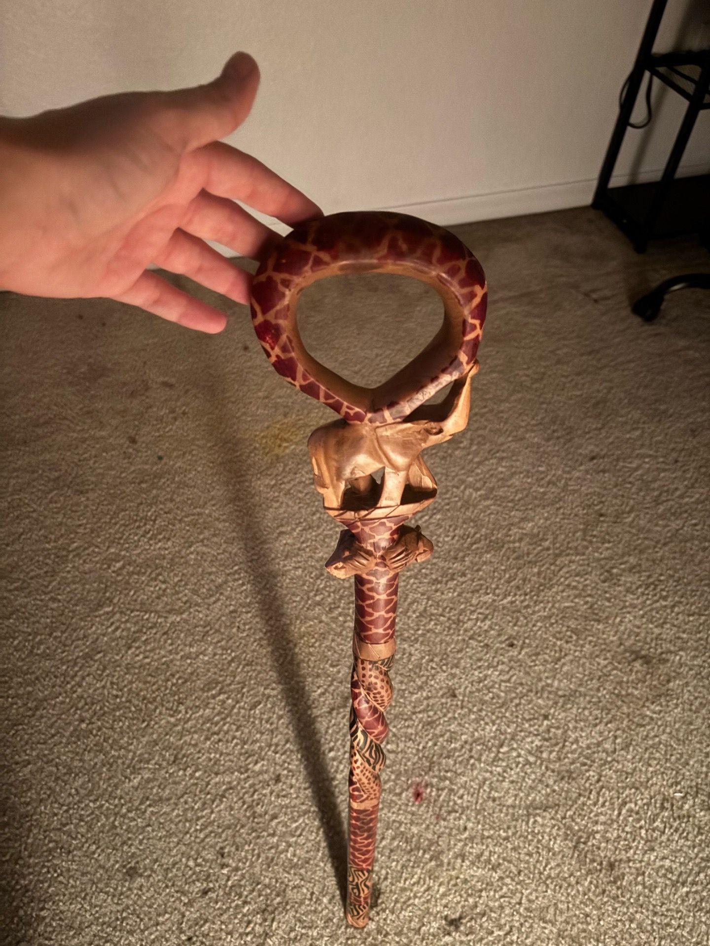 Disney Animal Kingdom Walking stick