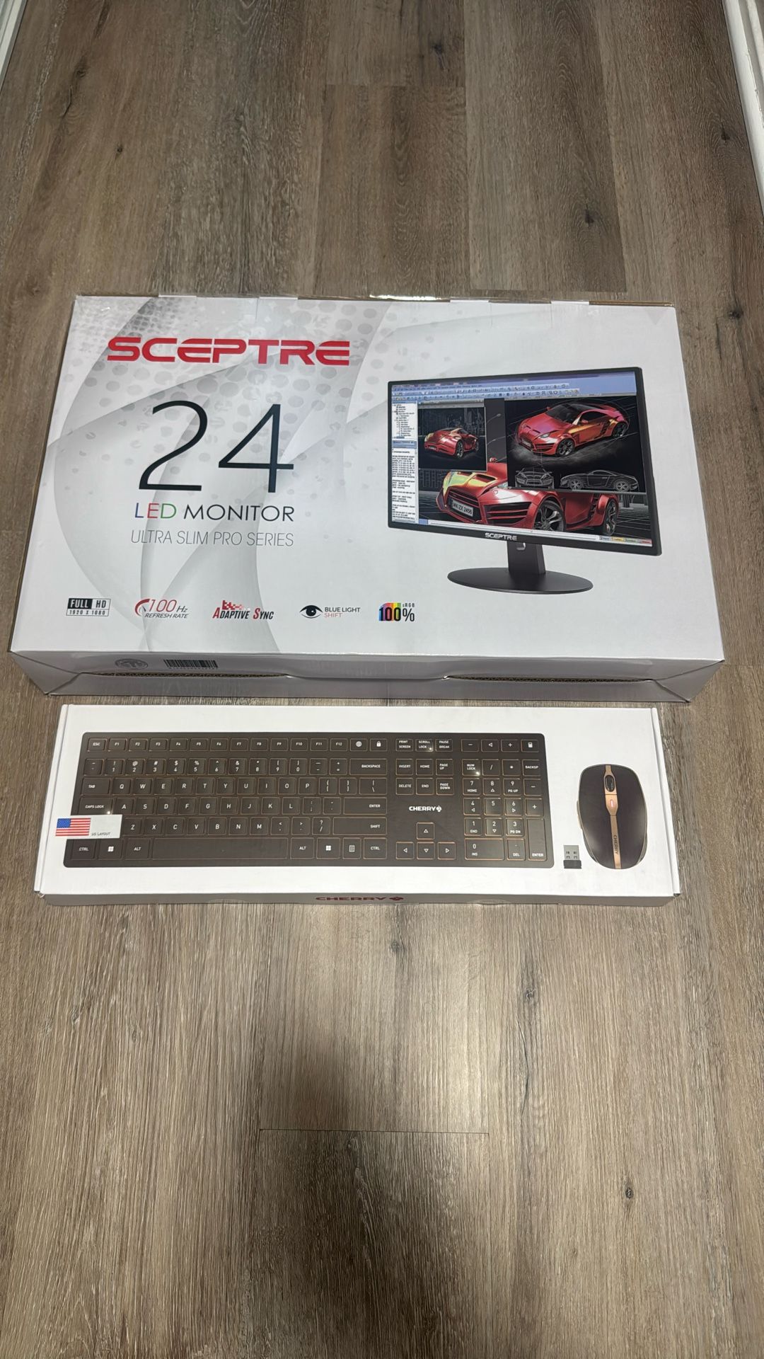 Monitor Setup