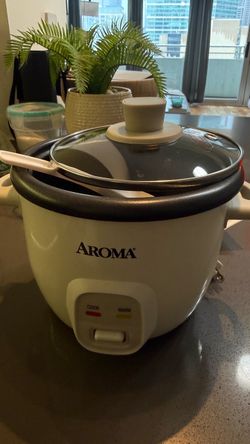 Rice Cooker with Glass Lid + Paddle
