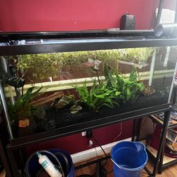 30 Gallon Aquarium 