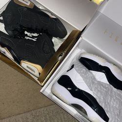 Jordan DMP Pack 11s & 6s 