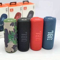 JBL Flip 6