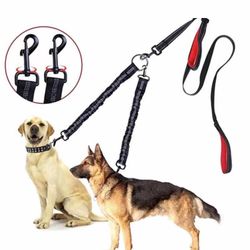 Double Dog Leash