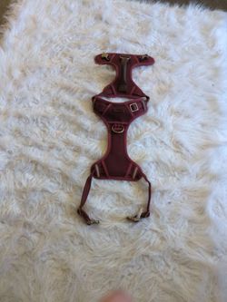 Dog Harness