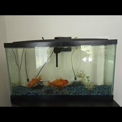 30 Gallon Fish Tank/stand--lots Of Extra Accessories 