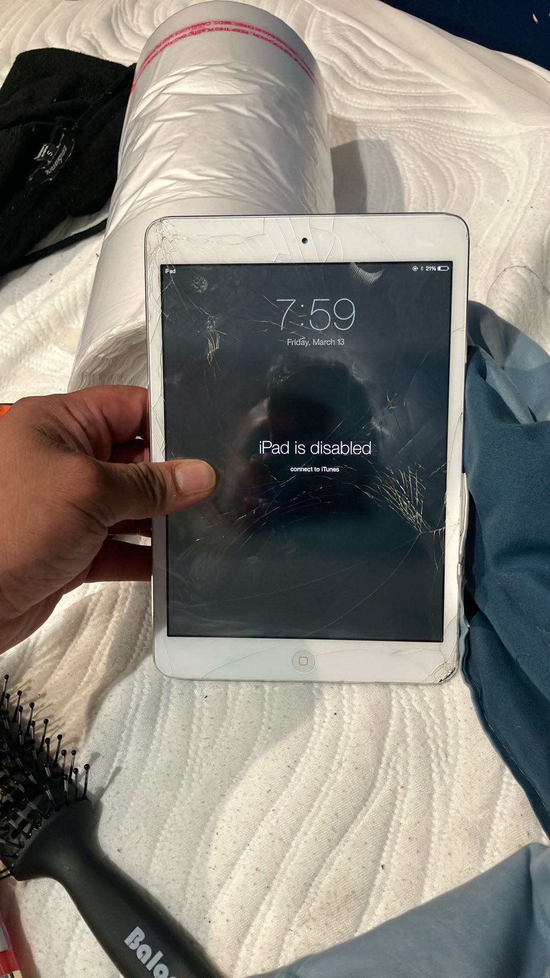 iPad Mini