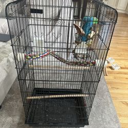 Large Bird Cage With Accessories 