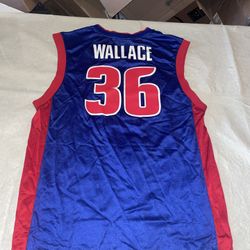 Rasheed Wallace DETROIT PISTONS Reebok JERSEY Blue Clean Mens Medium Vintage