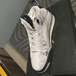Air Jordan dub zero