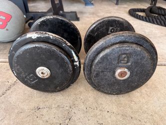 30 pound dumbbell pair