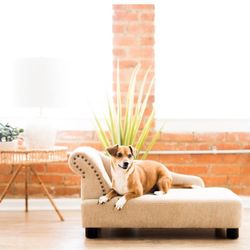 Laz-y-boy Dog Couch