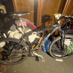 Gary Fisher Mountain Bike $60