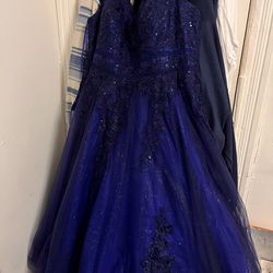 Sydney’s Closet Size 22 Prom Ball Gown