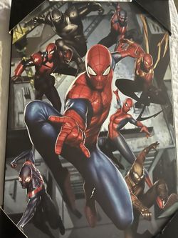 Spider-Man Frame
